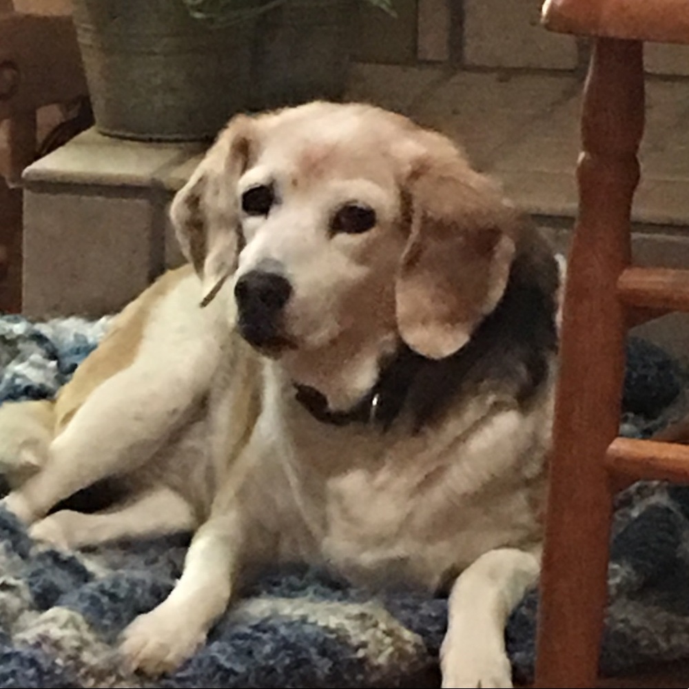 Meet your Posher, Michaeleh